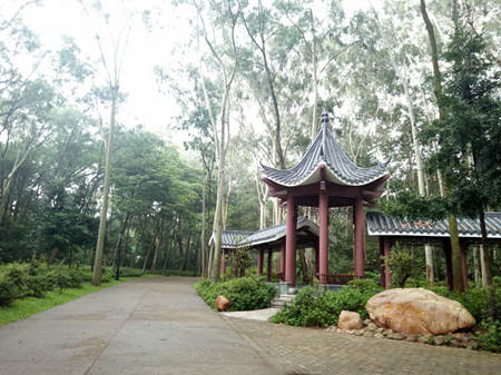 深圳免费旅游景点大全之笔架山公园图片