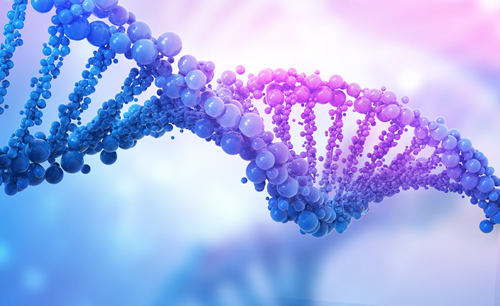 DNA复制时需要哪些条件 DNA的复制过程