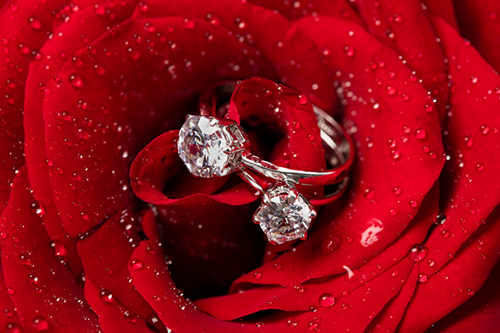 十二星座结婚戒指 十二星座的专属戒指