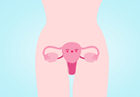 产后子宫下垂怎么办 子宫下垂的症状有哪些