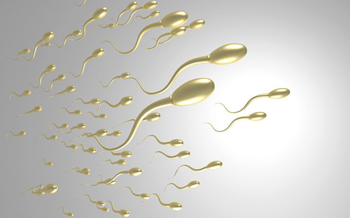 卵子和精子结合有什么感觉 需要什么条件
