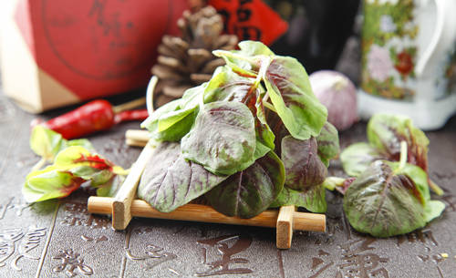 刺苋菜的功效与作用 刺苋菜的食用方法