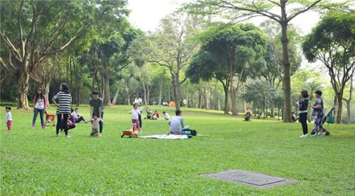 深圳免费的公园那么多，你去全了吗？