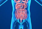 解析阑尾炎的位置在身体的哪个部位