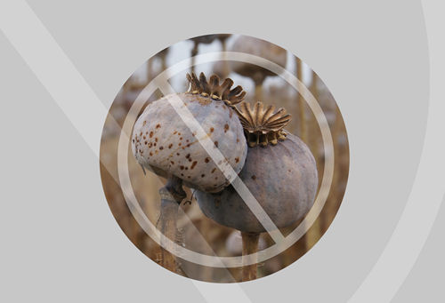 罂粟壳的功效与作用及食用方法