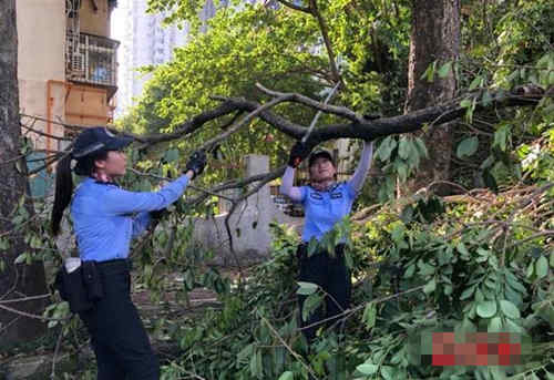 深圳人注意 受台风影响的交通违规不进行处罚