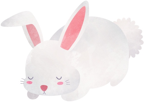 [2011兔宝宝几月出生好]2011年兔宝宝取名宝典 兔宝宝乳名大全