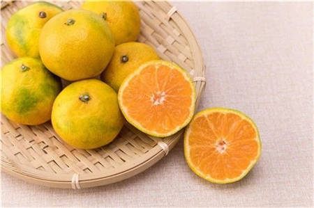橘子树怎么养|橘子怎么挑 一招挑出又甜又多汁的橘子