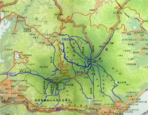 这3条线路被称为深圳最美公交线，一路都是秀丽风景