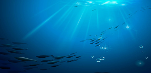 深海鱼油的功效与作用