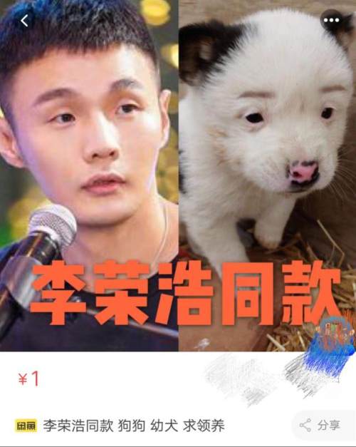 李荣浩同款狗狗是什么梗 本尊回应让网友笑哭