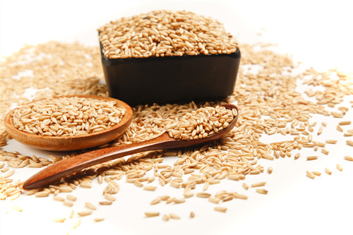 糙米的功效与作用 糙米怎么吃
