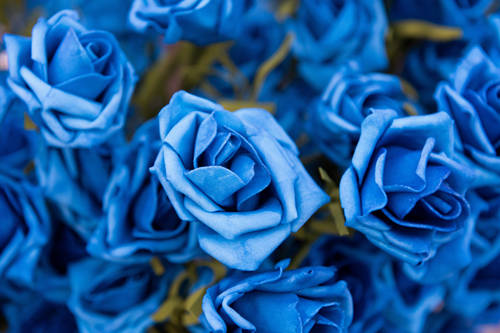 梦见蓝玫瑰是什么意思