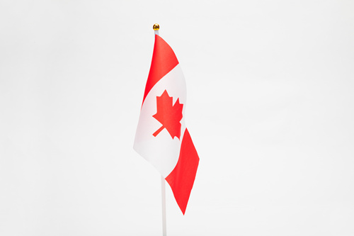 加拿大的国花是什么花 枫叶旗的含义