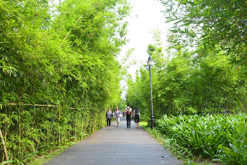  　　深圳有哪些公园 深圳好玩的公园盘点