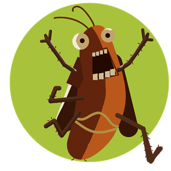 什么宠物吃蟑螂 蟑螂的天敌有哪些