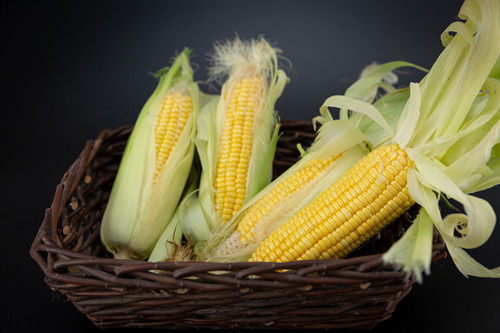 玉米煮多久就熟了 玉米的功效与作用
