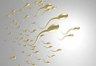 精子活力低吃什么好 如何提高精子成活率