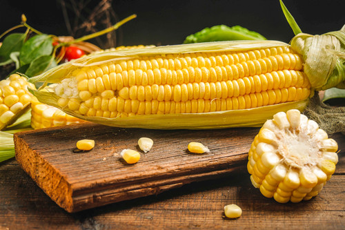 玉米的热量是多少 玉米的热量高吗