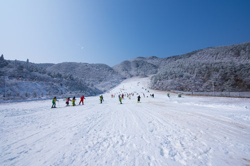 国内有哪些滑雪场 国内大型滑雪场推荐