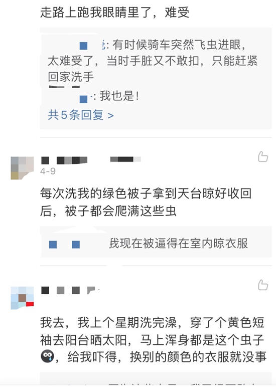 深圳市民建议对于全市进行大规模消杀