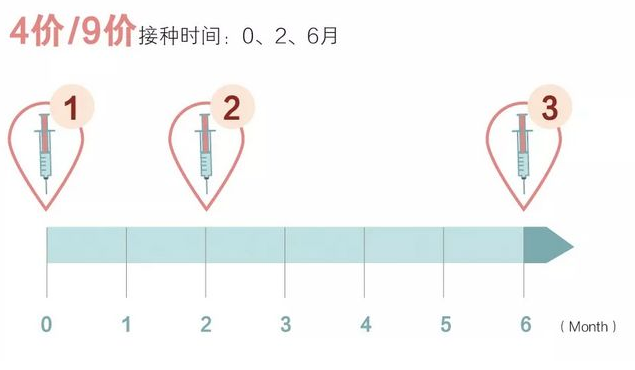 深圳九价HPV疫苗三针打多久