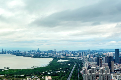 2020深圳湾公园游玩攻略