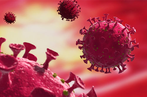 多国专家再次反驳“新冠病毒实验室起源论”