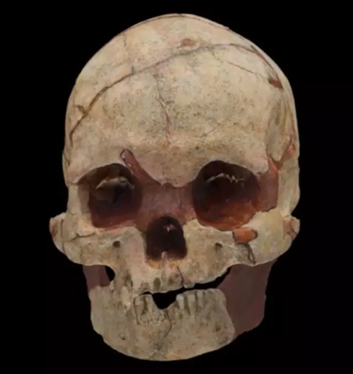 广西发现16000年前人头骨化石 还有这些惊人发现