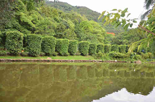 深圳仙湖植物园怎么去 深圳仙湖植物园在哪里