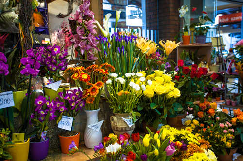 荷兰花卉小镇有什么好玩的 荷兰花卉小镇介绍