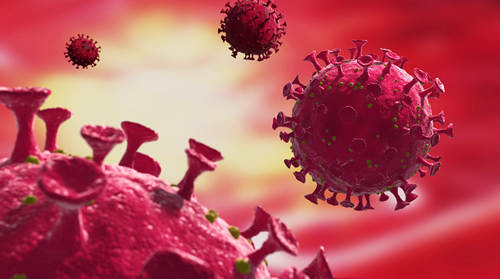 全球新冠病毒确诊病例超过1亿 215万人死亡