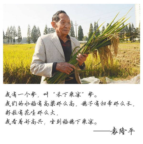 “杂交水稻之父”袁隆平80岁生日在龙岗度过