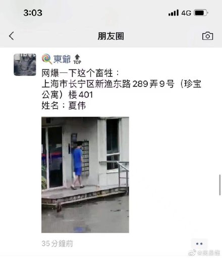 上海男子踩踏小猫完整视频 上海踩死小猫男子个人资料
