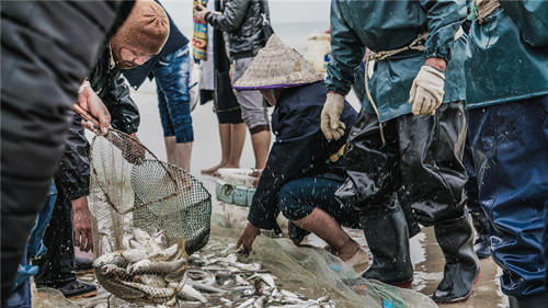2021深圳远洋渔业专项资金申请指南