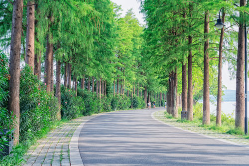 深圳绿道骑行路线推荐 深圳有哪些绿道