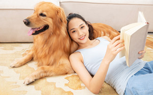 深圳办理养犬登记证需要提供什么资料