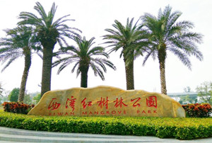 深圳西湾红树林公园可以搭帐篷吗