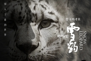 电影《雪豹》预告片一览 将于4月3日上映