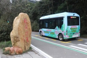 深圳梧桐山有直达的公交上山吗