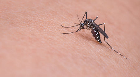 止痒的方法有哪些 被蚊子咬了怎么止痒