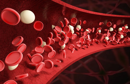 平均红细胞血红蛋白浓度偏低是怎么回事