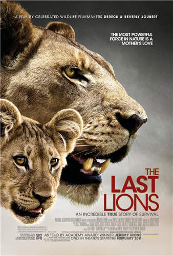 关于动物最火的纪录片有哪些之最后的狮子剧照