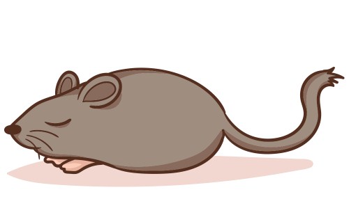梦见死老鼠是什么征兆