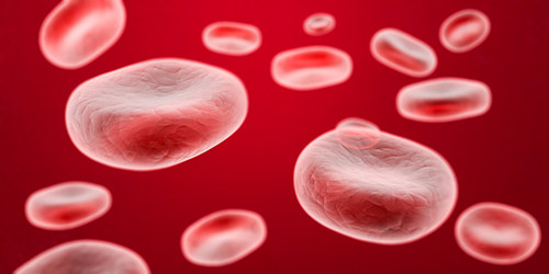 红细胞压积偏低 红细胞压积偏低怎么补