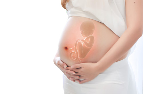 孕妇感染弓形虫对胎儿有什么危害