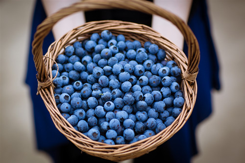alt=\蓝莓的功效与作用 吃蓝莓的好处\