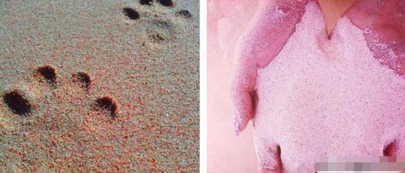 粉红沙滩真的好玩吗 粉红沙滩也许是照骗