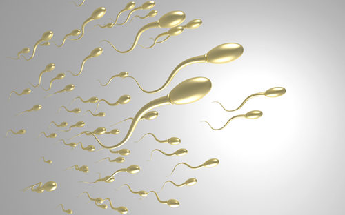 解析男人的精子能吃 吃了精子会怎么样