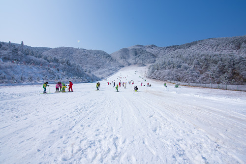 国外滑雪哪里比较好 哪里滑雪好玩